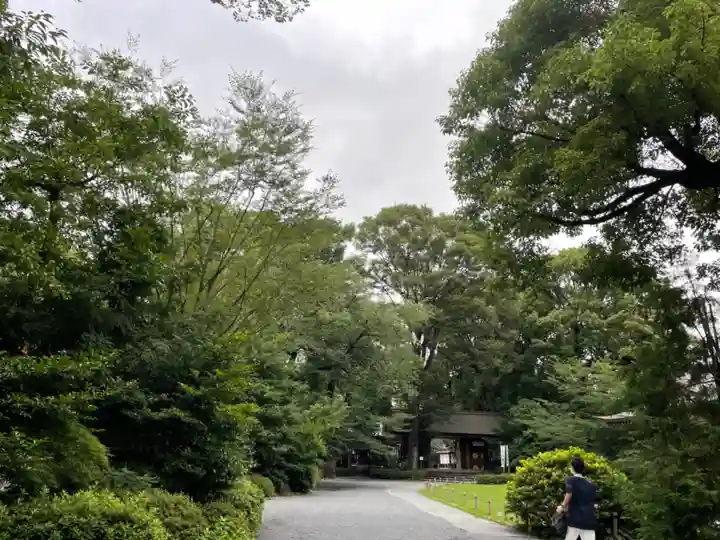 阿佐ヶ谷神明宮の自然