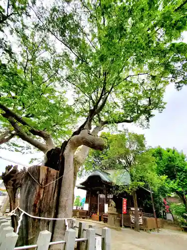 阿邪訶根神社の自然