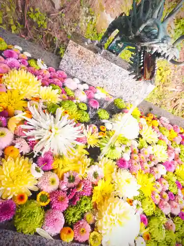 木幡山隠津島神社(二本松市)の手水