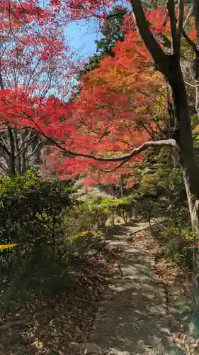 十輪寺(京都府)