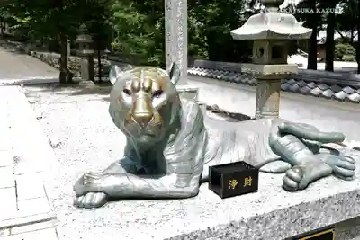 金剛證寺の狛犬