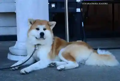 願成就院(静岡県)