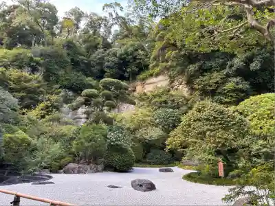 報国寺の庭園