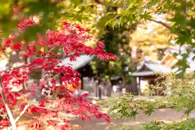 武水別神社(長野県)