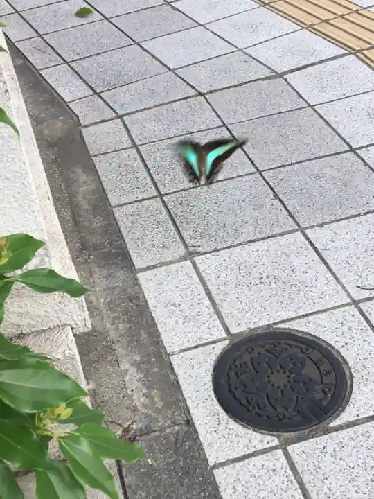 鳥越神社(東京都)