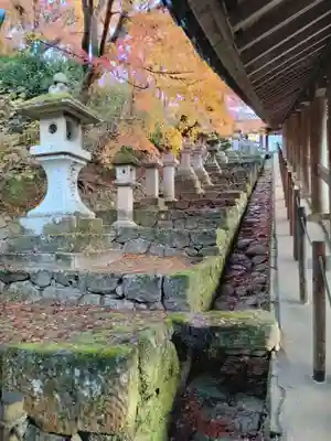 長谷寺(奈良県)