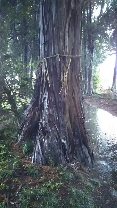 鹿島神社のその他建物