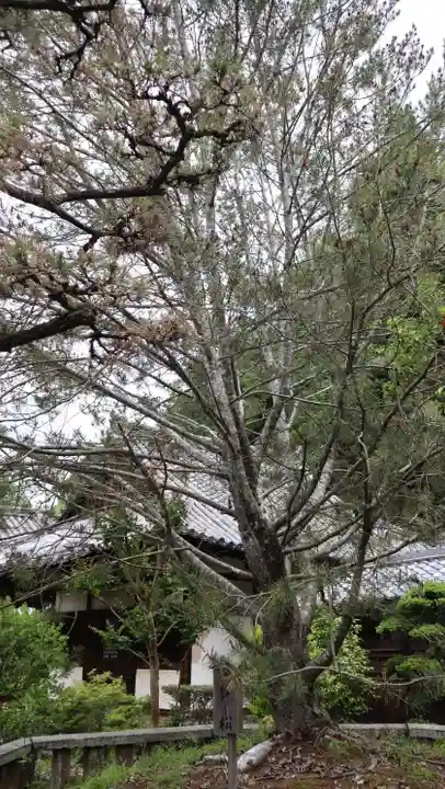 東大寺真言院(奈良県)