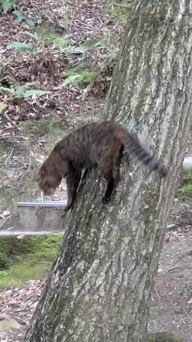 村雲御所瑞龍寺門跡(滋賀県)