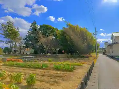 神明社（北方町中島）の自然