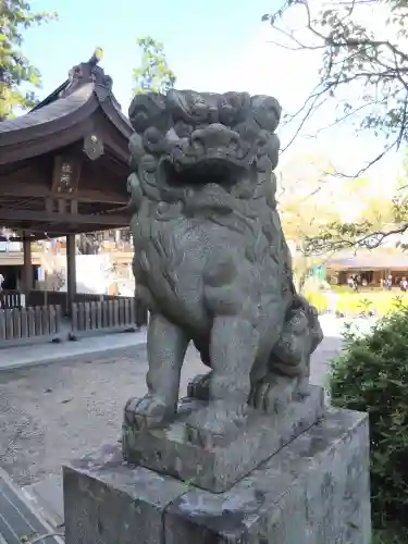 高麗神社の狛犬