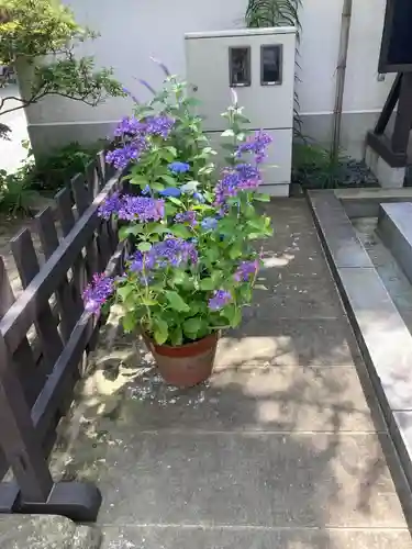 松嶺院(神奈川県)