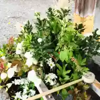 彌彦神社 (伊夜日子神社)(北海道)