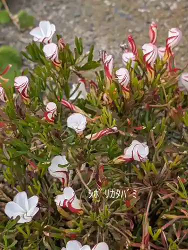 慶運寺(神奈川県)