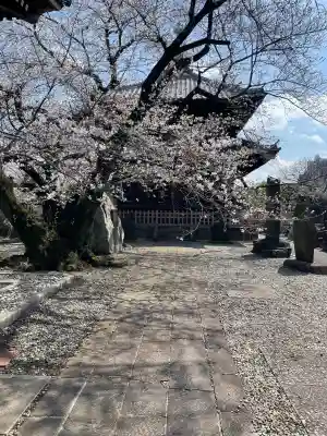 吉祥寺の{uncategorized: "未分類", other: "その他", undefined: "問題あり", building: "その他建物", grave: "お墓", sacred_gate: "鳥居", guardian: "狛犬", statue: "像", buddha: "仏像", history: "歴史", nature: "自然", garden: "庭園", animal: "動物", pagoda: "塔", temizu: "手水舎", mountain_gate: "山門・神門", sanctuary: "本殿・本堂", subordinate: "末社・摂社", art: "芸術", scenery: "景色", jizo: "地蔵", ema: "絵馬", goshuin: "御朱印", omikuji: "おみくじ", items: "授与品その他", amulet: "お守り", goshuincho: "御朱印帳", eats: "食事", festival: "お祭り", votive_dance: "神楽", shichigosan: "七五三参", wedding: "結婚式", experience: "体験その他", initially: "初詣", around: "周辺", anti_infection: "感染症対策"}