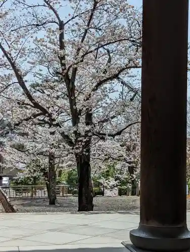 くろ谷 金戒光明寺(京都府)
