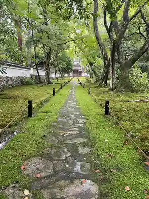 西芳寺(京都府)