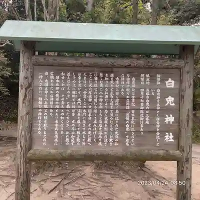 白兎神社(鳥取県)