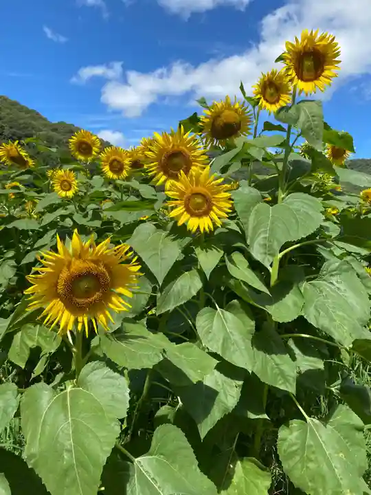天神社(岡山県)