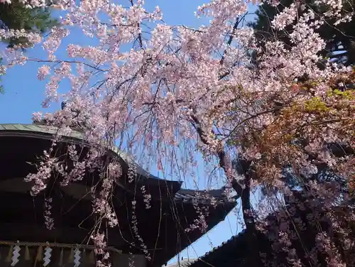 火産霊神社(新潟県)