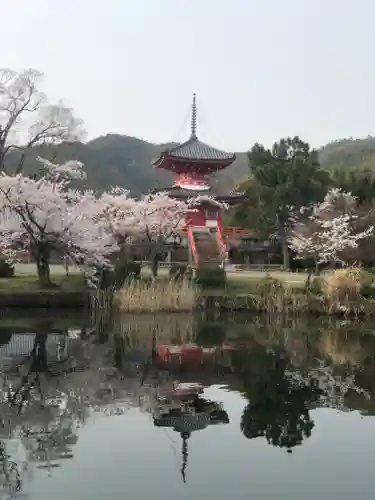 大覚寺の景色