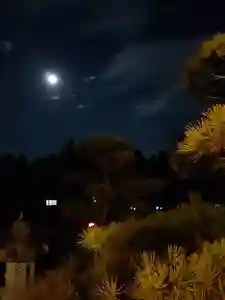 伏木香取神社の自然(2020年02月08日(土) 21時04分22秒投稿)