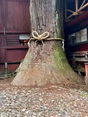 北口本宮冨士浅間神社(山梨県)