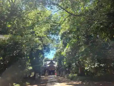 伊豫神社(愛媛県)