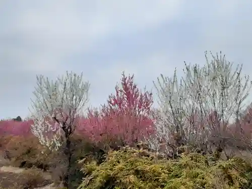 伏木香取神社(茨城県)