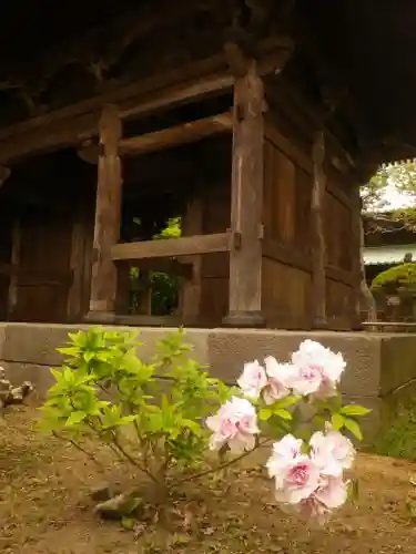 英勝寺の山門・神門