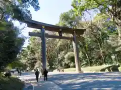 明治神宮の鳥居