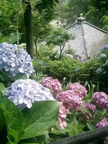 長谷寺のその他建物