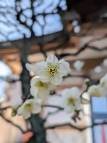 穏田神社(東京都)