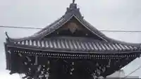 妙蓮寺(京都府)