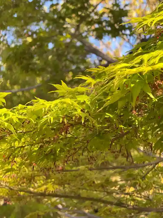 伊勢の国 四天王寺(三重県)