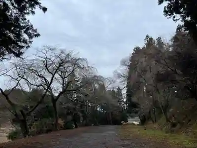 大宮温泉神社(栃木県)