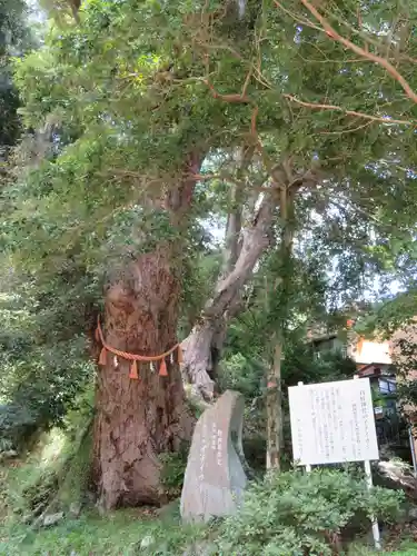 日枝神社のその他建物