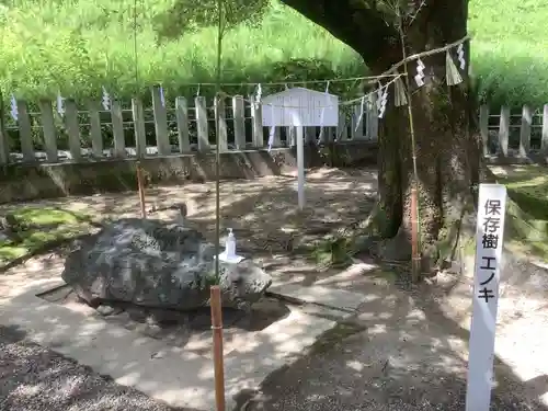 西八龍社の自然