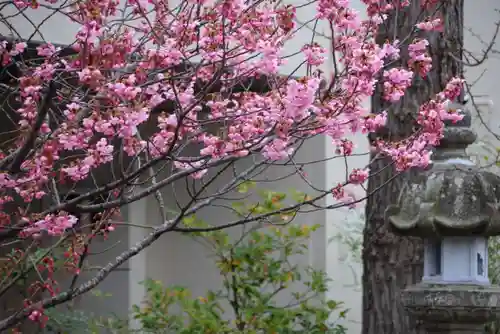 阿邪訶根神社の自然