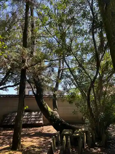 倭恩智神社(奈良県)