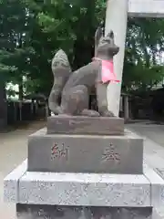 飛木稲荷神社の狛犬