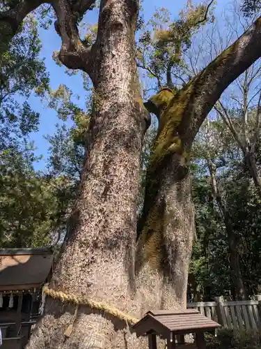 伊弉諾神宮(兵庫県)