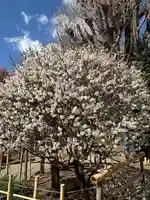 五條天神社(東京都)