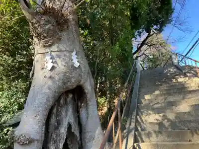 中野山王子安神社(東京都)