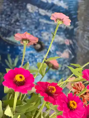 浅間神社の手水舎