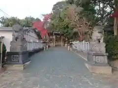 神明社の狛犬