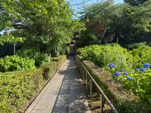 本興寺(石川県)