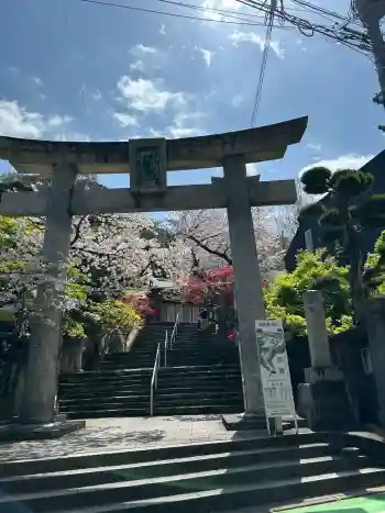 紅葉八幡宮の御朱印 2026年04月