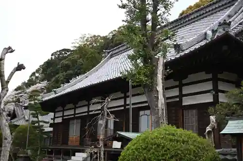 鉄舟寺の本殿・本堂