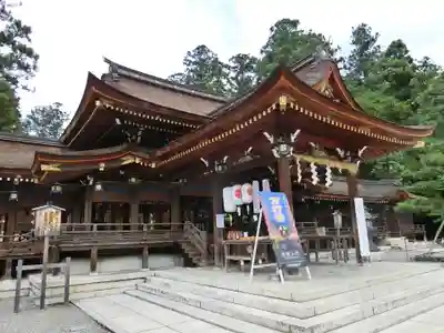 多賀大社の本殿・本堂